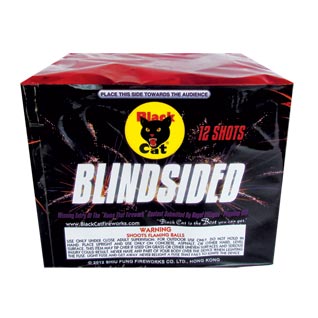 Blindsided - Click Image to Close