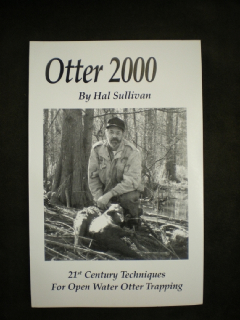 Otter 2000 By: Hal Sullivan
